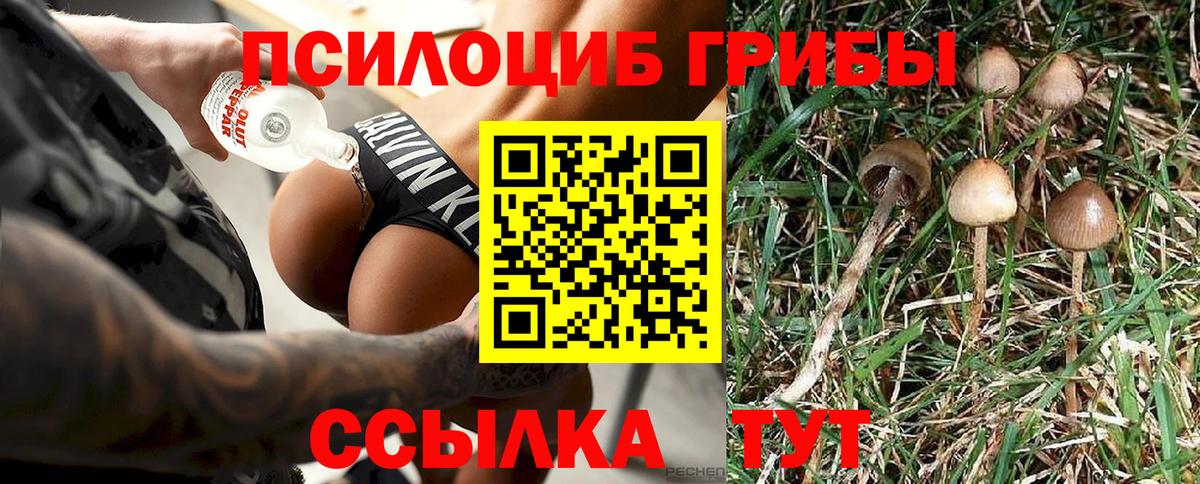 Псилоцибиновые грибы мухоморы  Вход с VPN  сколько стоит  Галлюциногенные грибы Magic Shrooms  Апатиты 