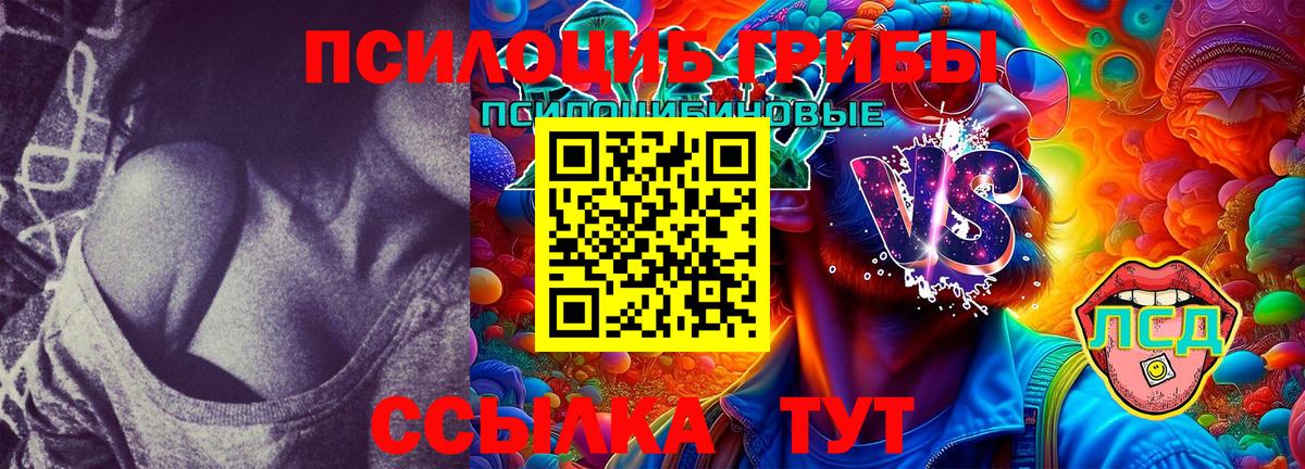 Псилоцибиновые грибы MAGIC MUSHROOMS Апатиты