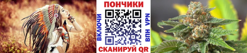 Шишки марихуана семена  Апатиты 